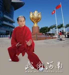 段保华