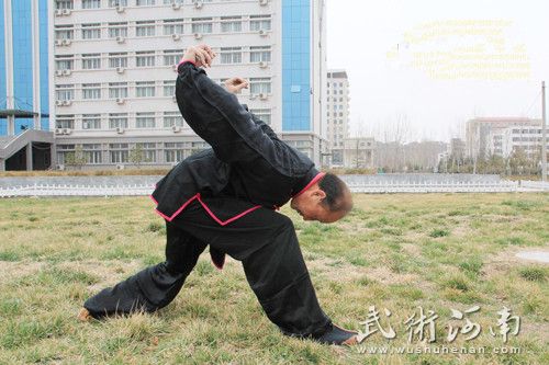 刘义明演练苌氏武技二十四字拳“飞雁投湖”.jpg